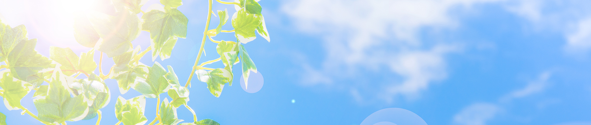 コネキンのおすすめポイント